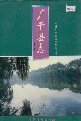 广平县志