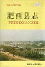 肥西县志