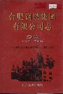 合肥钢铁集团有限公司志 第四卷