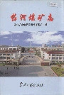 《岱河煤矿志》封面