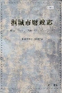 桐城市财政志