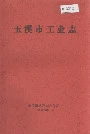 玉溪市工业志