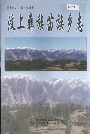 汶上彝族苗族乡志
