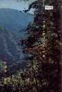 保山地区林业志