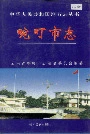 畹町市志