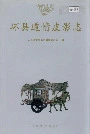 《环县道情皮影志》封面