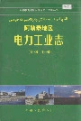 《阿勒泰地区电力工业志》封面