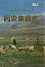 阿合奇县志