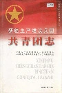 新疆生产建设兵团共青团志