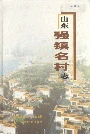 山东强镇名村志