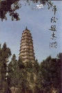 平阴县志