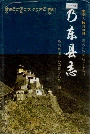 乃东县志