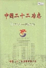 中国二十二冶志