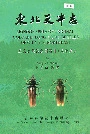 东北天牛志