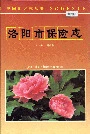 洛阳市保险志
