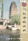 沁阳市政协志