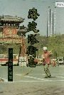 海淀环卫志