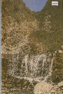 北京泉志