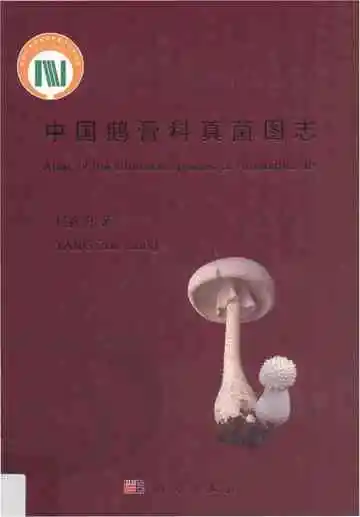 中国鹅膏科真菌图志