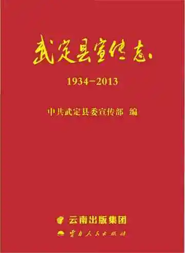 武定县宣传志