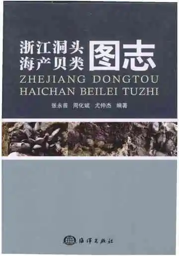 浙江洞头海产贝类图志