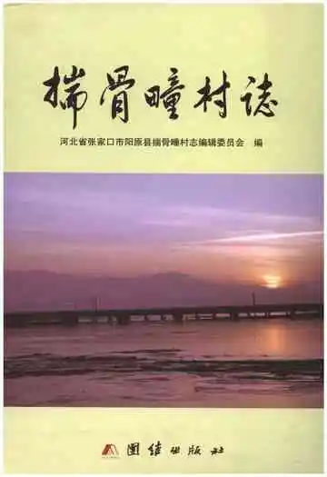 揣骨疃村志