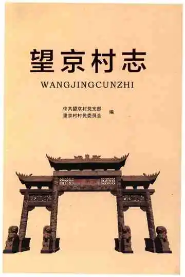 望京村志