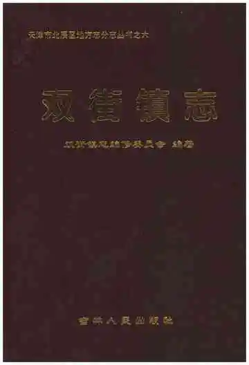 双街镇志