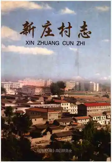 新庄村志