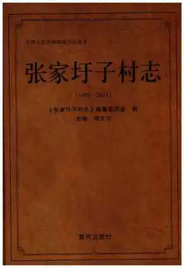 张家圩子村志
