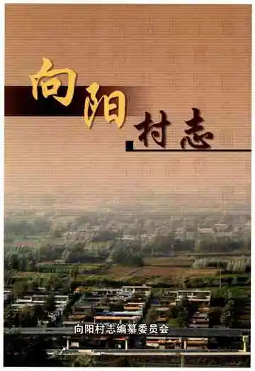 向阳村志