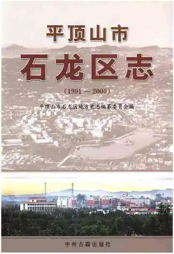 平顶山市石龙区志