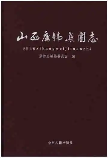 山西康伟集团志