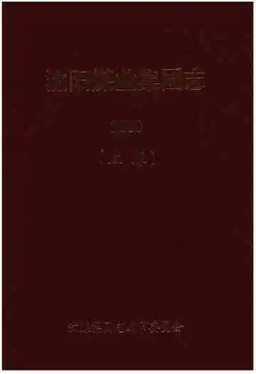沈阳煤业集团志2010(上卷)