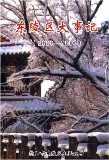 东陵区大事记（2000-2003）