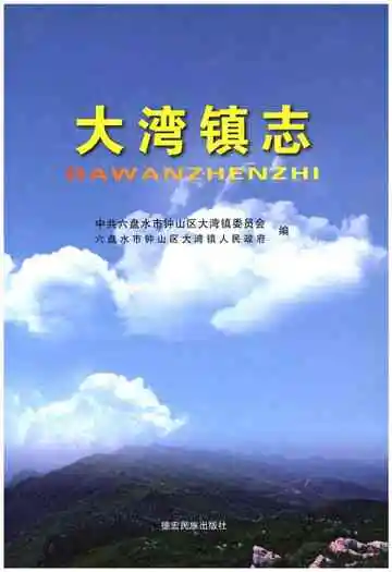 大湾镇志