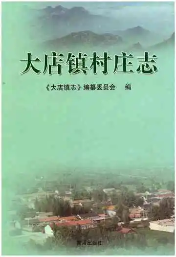 大店镇村庄志
