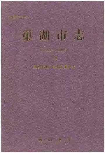 巢湖市志 下册 1991-2005