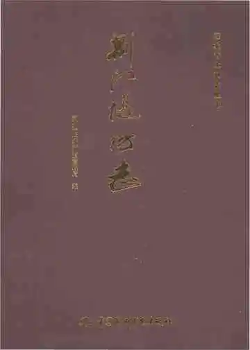 荆江堤防志