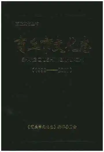 商丘市文化志(1998-2007)