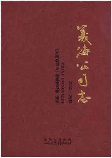 义海公司志 2003-2010