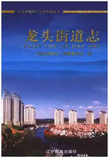 龙头街道志