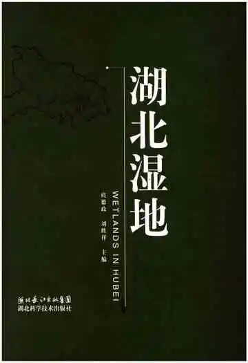 湖北湿地