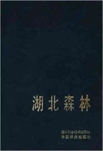 湖北森林