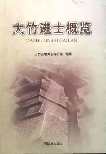 大竹进士概览