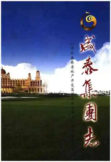 盛泰集团志