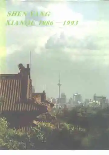 沈阳县区
