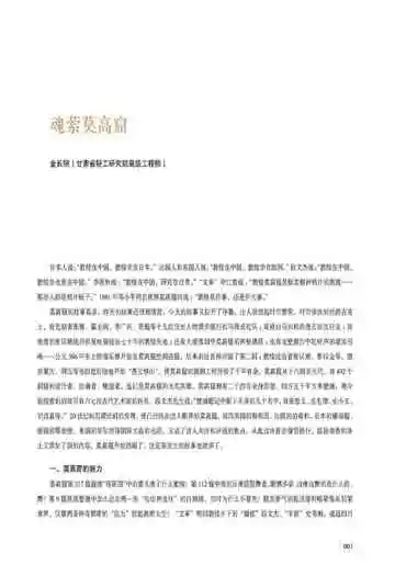 敦煌舞乐