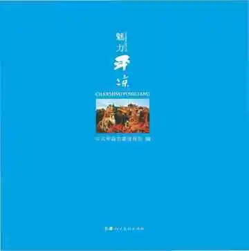 《魅力平凉》封面