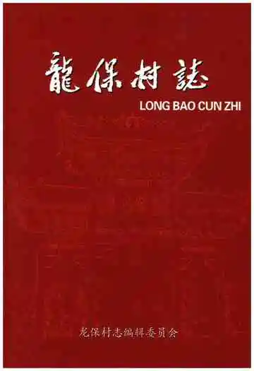龙保村志